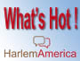 HarlemAmerica-show-thumbnail